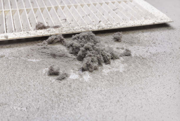 Best Best Air Duct Cleaning Near Me  in Leander, TX