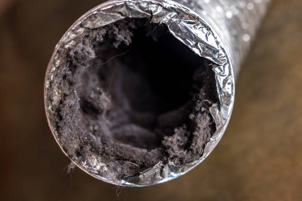 Best Home Air Vent Cleaning  in Leander, TX