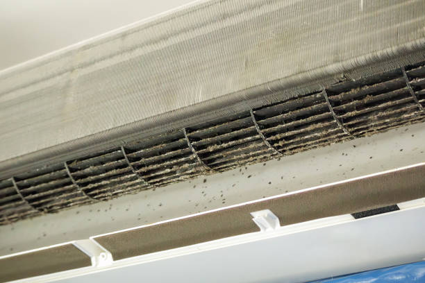 Best Residential Air Duct Cleaning  in Leander, TX